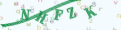 验证码